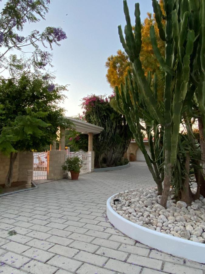 Nostrana Village Apartments Koskinou  ภายนอก รูปภาพ